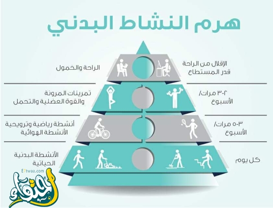 مراحل ممارسة النشاط البدني بالترتيب 