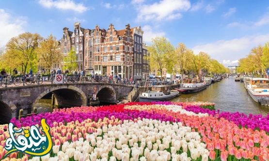 ما هي عاصمة هولندا ومساحتها؟