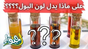 لون البول : كل لون له دلالات يعنيها