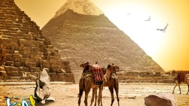 ما هي نتائج السياحة في مصر