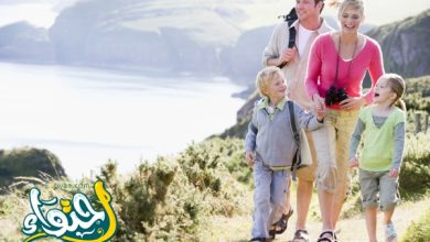 Activities to do with your family during the summer holidays