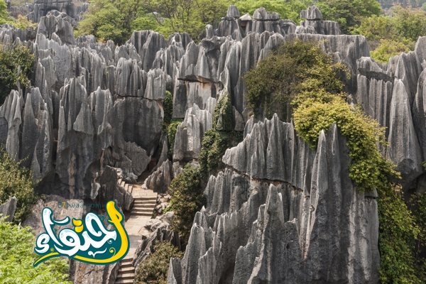 Stone Forest in China