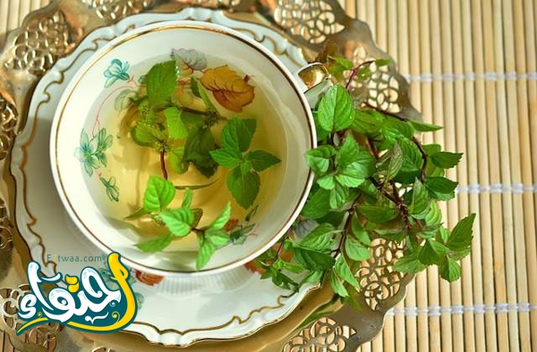 tisane de menthe poivrée