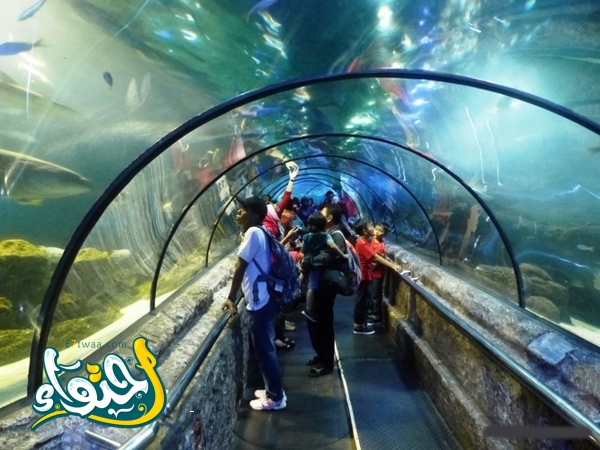 tunnel at Seaworld Jakarta