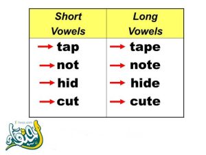 ما الفرق بين short vowel وlong vowel