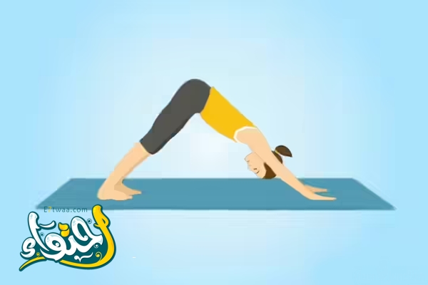 19. وضعية الكلب المتجه للأسفل (Adho Mukha Svanasana)