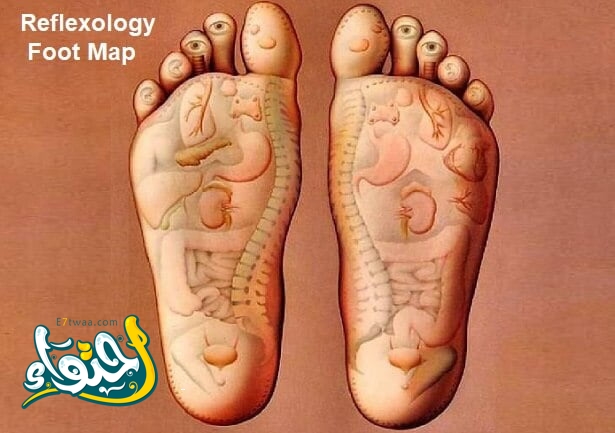 Body map on the sole of the foot: important points