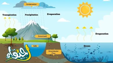 دورة الماء في الطبيعة: من المحيط إلى السحاب وما بينهما