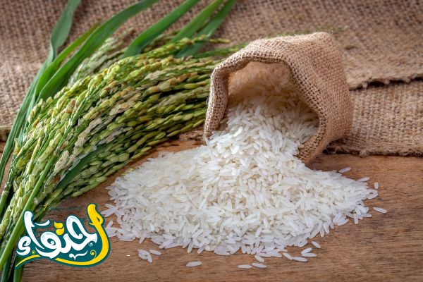 Surprise Tips With Rice: Amazing Uses For Everyday Life