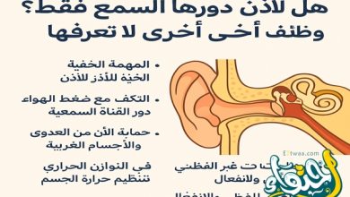 هل الأذن دورها السمع فقط .. وظائف أخرى لا تعرفها
